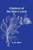Children Of No Man'S Land - 9789369056415