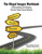 The Illegal Images Workbook: Understanding and Changing Harmful Online Sexual Behavior