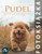 Pudel: Fotoksiążka