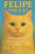 Felipe the Cat: The One and Only Tale of a Cat Like No Other