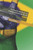 Profesora Silvia en: La Independencia de Brasil