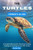 The Turtles Owner's Guide: A Complete Manual For Choosing, Housing, Feeding, And Caring For Your Pet Turtles