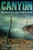 Canyon: Une aventure post-apocalyptique/dystopique