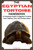 The Egyptian Tortoise Handbook: A Complete Guide To Egyptian Tortoise Care, Habitat, Diet, And Conservation