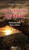 Die Verlorene Republik (German Edition)