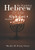 The Wonderful Hebrew Alphabet 1 Workbook