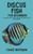 Discus Fish for Beginners: The Complete Guide to Keeping, Breeding, and Caring for Your Discus Aquarium
