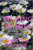 Picking Daisies (rubber pants version): An ABDL/Sissy baby story