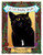 A Cat Named Spider