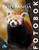 Röd panda: Fotobok