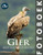 Gier: Fotoboek