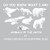 Do You Know What I Am?: Animals Of The Arctic