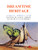 Dreamtime Heritage: Australian Aboriginal Myths