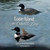 Loon Island on Leavitt Bay: The Woodland Series Book 3 - (Paperback or Softback)