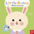 Baby Faces: Little Bunny, Where Are You?