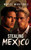 Stealing Mexico - (Paperback or Softback)