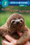 Slow, Slow Sloths (Step Into Reading) - 9780593432440
