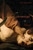A Chronology of Blood: Poems