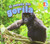 El Mundo Del Gorila (A Gorilla'S World) (Spanish Edition)