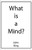 What is a Mind?