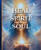 HEAL your SPIRIT & Nourish your SOUL: Energy & Vibration
