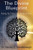 The Divine Blueprint: Restoring Your View of God, Yourself, and Others