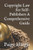 Copyright Law for Self-Publishers A Comprehensive Guide