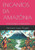 Encantos Da AmazÃ´nia: AmazÃ´nia/Amazon