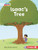 Isaac'S Tree (Helpful Habits Pull Ahead Readers People Smarts - Fiction)