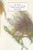 The Interfact: On Structure And Compatibility In Object-Oriented Ontology