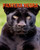 Pantera negra: Â¡Datos fascinantes sobre los Pantera negra para niÃ±os con imÃ¡genes impactantes!
