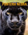 Pantera negra: Un increÃ­ble libro para niÃ±os sobre los Pantera negra