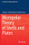 Micropolar Theory Of Shells And Plates (Foundations Of Engineering Mechanics)
