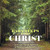 Baby Steps With Christ: A Quick Easy Step By Step Guide To Knowing Jesus Everyday