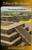 Echoes of the Ancients: The Impact of Ancient Civilizations on Modern World