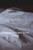 Sleeping in an Empty Room: A Collection of Poems for the Curious