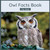 Owl Facts Book For Kids: Owl Children's Book