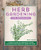 Herb Gardening For Beginners: A Simple Guide To Growing & Using Culinary And Medicinal Herbs At Home