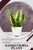 Sansevieria Plant: Plant Guide