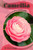 Camellia: Plant overview and guide