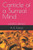 Canticle of a Surreal Mind: mInDlEsS dRifTinG