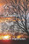 A Dawn's Sigh: Love Poetry