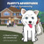 Fluffy's Adventures - Fluffy's Homecoming: A Siberian Husky's Life Adventures