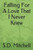 Falling For A Love That I Never Knew