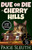 Due or Die in Cherry Hills Large Print