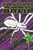 Spaceman Bren on Spider Planet