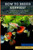 How to Breed Guppies?: How To Breed Guppy Fish Step by Step Complete Guide For Begineers
