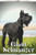 Giant Schnauzer: Dog breed overview and guide