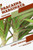 Dracaena marginata: Closed terrarium, Beginner's Guide