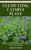 Cultivating Catmint Plant: Valid Step By Step Fundamental Guide For Newbie Catmint Plant Gardeners
